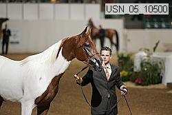 usn_05_10500 proof