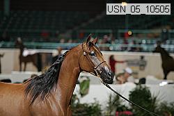 usn_05_10505 proof