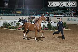 usn_05_10523 proof