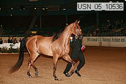 usn_05_10536 proof