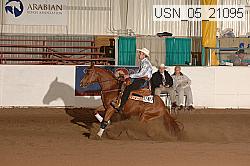 usn_05_21095 proof