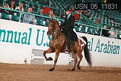 usn_05_11831 proof