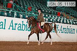 usn_05_11185 proof