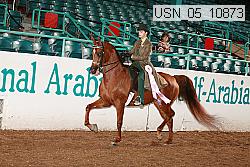 usn_05_10873 proof