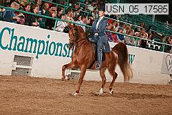Proof usn_05_15732