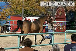 usn_05_ala0010 proof