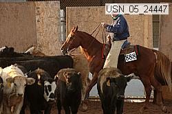 usn_05_24447 proof