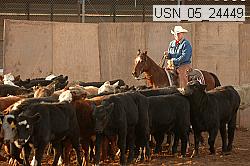 usn_05_24449 proof