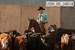 usn_05_24514 proof