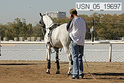 usn_05_19697 proof
