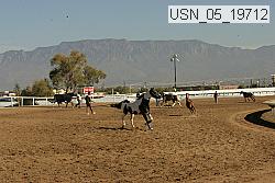 usn_05_19712 proof