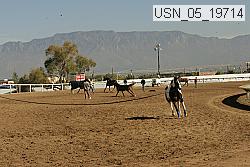 usn_05_19714 proof