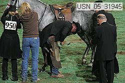 usn_05_31945 proof