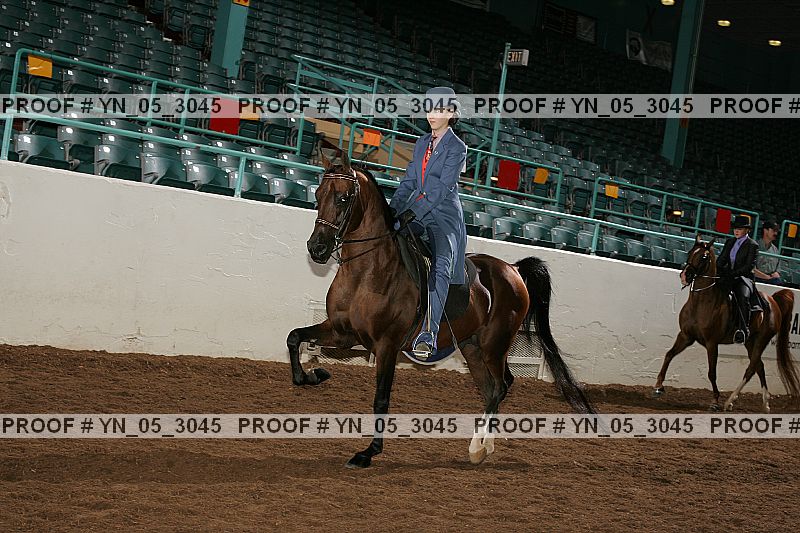 Proof yn_05_3045