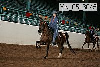 yn_05_3045 proof
