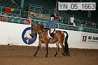 yn_05_1663 proof