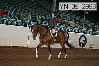 yn_05_2953 proof
