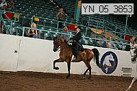 yn_05_3853 proof