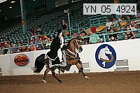 yn_05_4924 proof