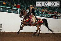 yn_05_2012 proof
