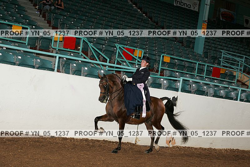 Proof yn_05_1237