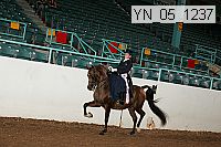 yn_05_1237 proof