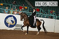yn_05_1253 proof