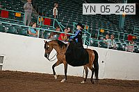 yn_05_2453 proof