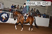 ynha_05_0341 proof