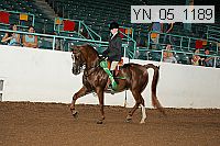 yn_05_1189 proof