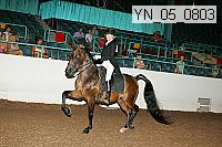 yn_05_0803 proof