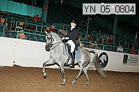yn_05_0804 proof