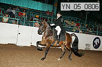 yn_05_0806 proof