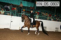 yn_05_0807 proof
