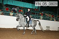 yn_05_0809 proof