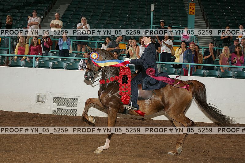 Proof yn_05_5259