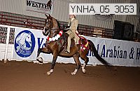 ynha_05_3053 proof