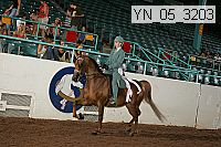 yn_05_3203 proof