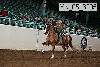 yn_05_3205 proof