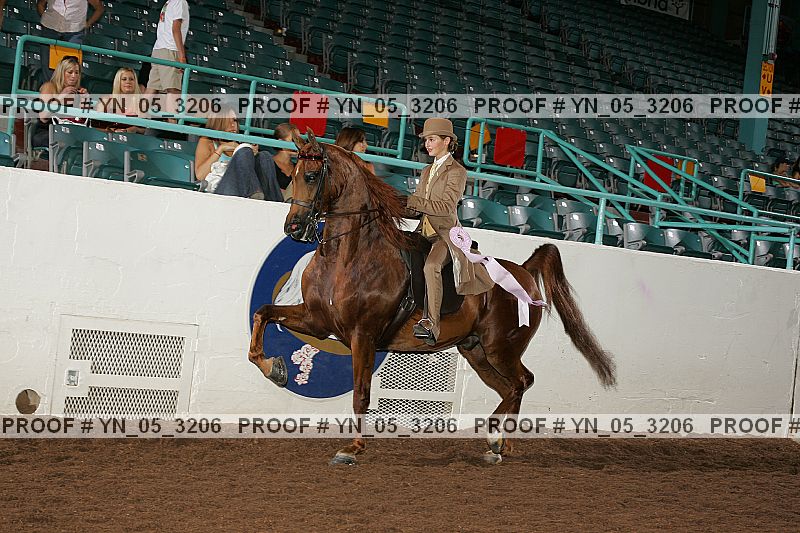 Proof yn_05_3206