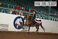 yn_05_3207 proof