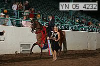 yn_05_4232 proof