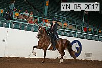 yn_05_2017 proof
