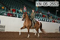yn_05_2553 proof