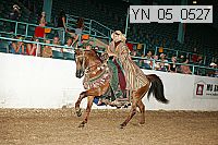 yn_05_0527 proof
