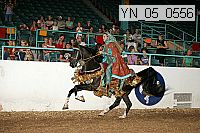 yn_05_0556 proof
