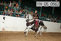 yn_05_0562 proof