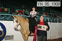 yn_05_1908 proof