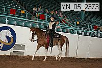 yn_05_2373 proof