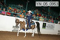 yn_05_0953 proof